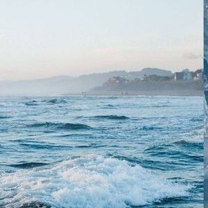 Meet your Posher, Lily